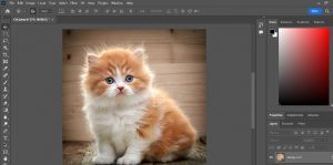 How to Smooth Background in Photoshop