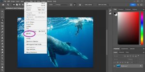 Features of Adobe Photoshop CS5 for Every Learner